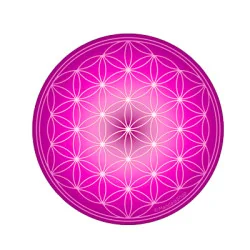 Flower of Life flexible Magnet (7 colours at choice)