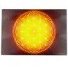 Flower of Life Energising Plate (7 coulàurs at choice)